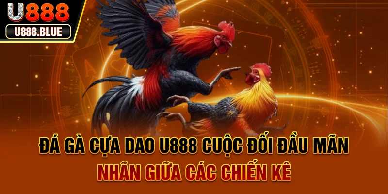 Đá Gà Cựa Dao U888 – Cuộc Đối Đầu Mãn Nhãn Giữa Các Chiến Kê