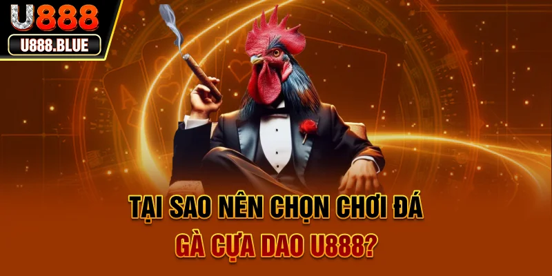 Tại sao nên chọn chơi đá gà cựa dao U888? Tại sao nên chọn chơi đá gà cựa dao U888?
